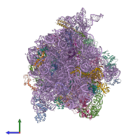 PDB entry 4v6y coloured by chain, side view.