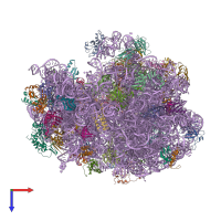 PDB entry 4v6y coloured by chain, top view.