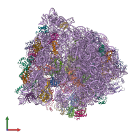 PDB entry 4v6z coloured by chain, front view.