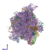 PDB entry 4v6z coloured by chain, side view.