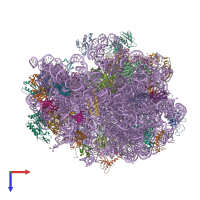 PDB entry 4v6z coloured by chain, top view.