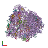 PDB entry 4v70 coloured by chain, front view.