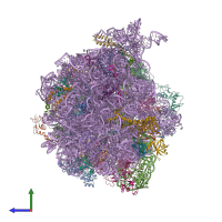 PDB entry 4v70 coloured by chain, side view.