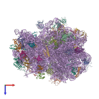 PDB entry 4v70 coloured by chain, top view.
