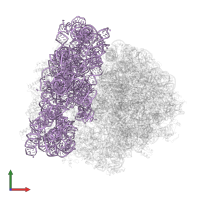 16S ribosomal RNA in PDB entry 4v70, assembly 1, front view.