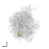 Small ribosomal subunit protein uS7 in PDB entry 4v70, assembly 1, side view.