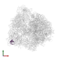 Small ribosomal subunit protein uS9 in PDB entry 4v70, assembly 1, front view.