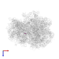 Modified residue H2U in PDB entry 4v70, assembly 1, top view.