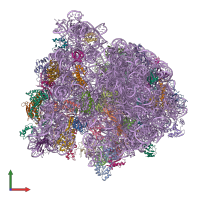 PDB entry 4v71 coloured by chain, front view.