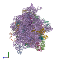 PDB entry 4v71 coloured by chain, side view.