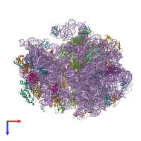 PDB entry 4v71 coloured by chain, top view.