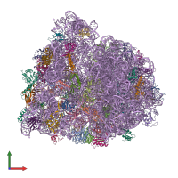 PDB entry 4v73 coloured by chain, front view.
