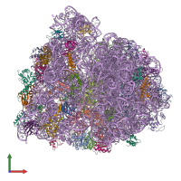 PDB entry 4v73 coloured by chain, front view.