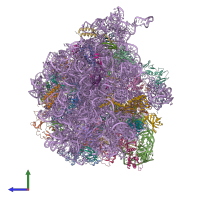 PDB entry 4v73 coloured by chain, side view.