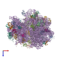 PDB entry 4v73 coloured by chain, top view.