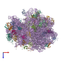 PDB entry 4v73 coloured by chain, top view.