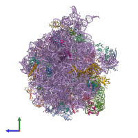PDB entry 4v74 coloured by chain, side view.