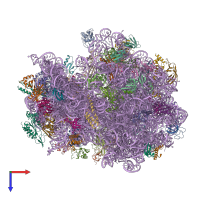 PDB entry 4v74 coloured by chain, top view.