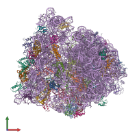 PDB entry 4v75 coloured by chain, front view.