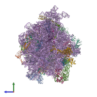 PDB entry 4v75 coloured by chain, side view.