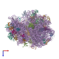 PDB entry 4v75 coloured by chain, top view.