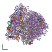 PDB entry 4v76 coloured by chain, front view.