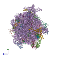 PDB entry 4v76 coloured by chain, side view.