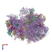 PDB entry 4v76 coloured by chain, top view.