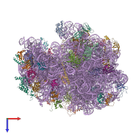 PDB entry 4v77 coloured by chain, top view.