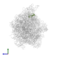 Large ribosomal subunit protein bL19 in PDB entry 4v77, assembly 1, side view.