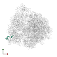 Small ribosomal subunit protein uS10 in PDB entry 4v77, assembly 1, front view.