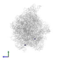Modified residue 5MU in PDB entry 4v77, assembly 1, side view.