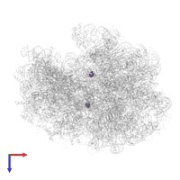 Modified residue 5MU in PDB entry 4v77, assembly 1, top view.