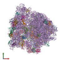 PDB entry 4v78 coloured by chain, front view.