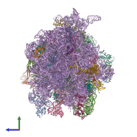 PDB entry 4v78 coloured by chain, side view.