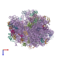 PDB entry 4v78 coloured by chain, top view.