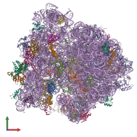 PDB entry 4v79 coloured by chain, front view.