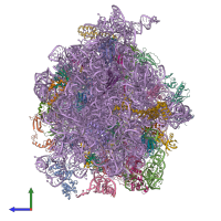 PDB entry 4v79 coloured by chain, side view.