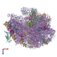 PDB entry 4v79 coloured by chain, top view.