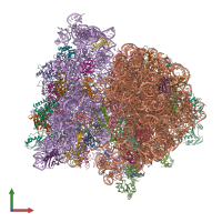 PDB entry 4v7a coloured by chain, front view.