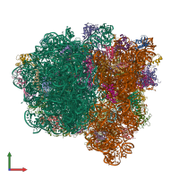 PDB entry 4v7d coloured by chain, front view.