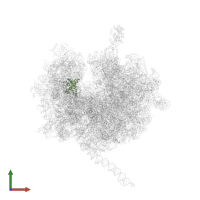 40S ribosomal protein S7 in PDB entry 4v7e, assembly 1, front view.