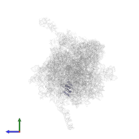 40S ribosomal protein S7 in PDB entry 4v7e, assembly 1, side view.