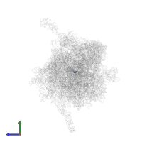 60S ribosomal protein L41E in PDB entry 4v7e, assembly 1, side view.