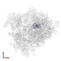 60S ribosomal protein L15(A) in PDB entry 4v7h, assembly 1, front view.