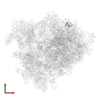 60S ribosomal protein L28 in PDB entry 4v7h, assembly 1, front view.