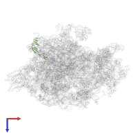 Large ribosomal subunit protein bL21 in PDB entry 4v7i, assembly 1, top view.