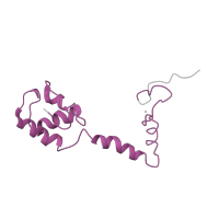 The deposited structure of PDB entry 4v7j contains 2 copies of Pfam domain PF00416 (Ribosomal protein S13/S18) in Small ribosomal subunit protein uS13. Showing 1 copy in chain L [auth Am].