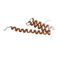 The deposited structure of PDB entry 4v7j contains 2 copies of Pfam domain PF01649 (Ribosomal protein S20) in Small ribosomal subunit protein bS20. Showing 1 copy in chain S [auth At].