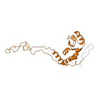 The deposited structure of PDB entry 4v7j contains 2 copies of Pfam domain PF00573 (Ribosomal protein L4/L1 family) in Large ribosomal subunit protein uL4. Showing 1 copy in chain CA [auth AF].
